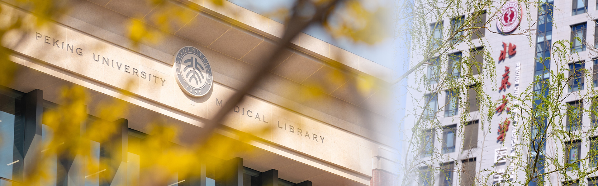 亚游集团·ag8(中国)官网-只為非同凡享