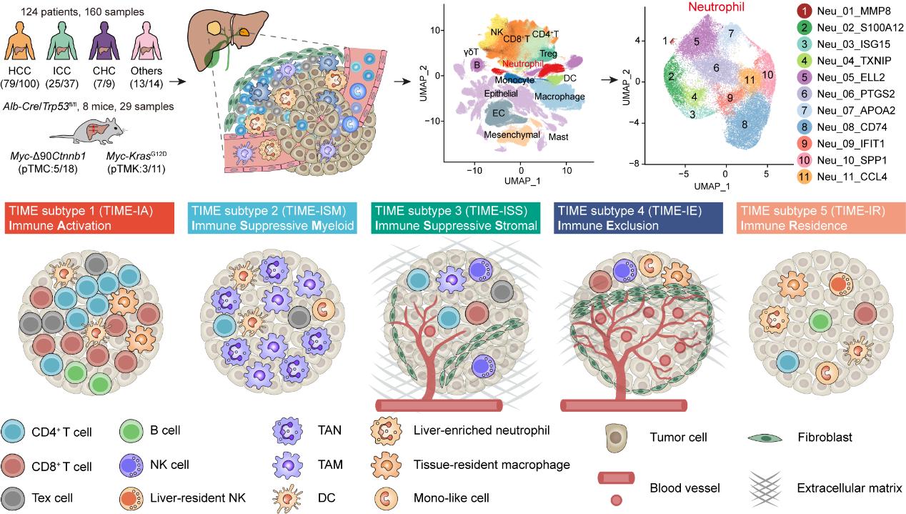 亚游集团·ag8(中国)官网-只為非同凡享