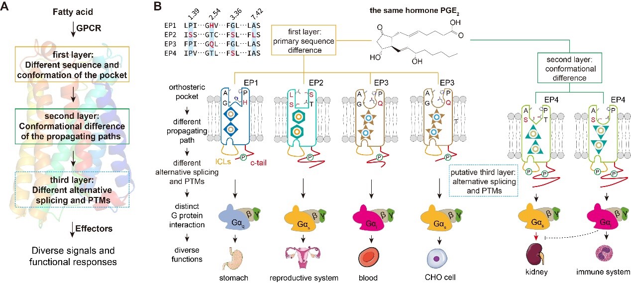 亚游集团·ag8(中国)官网-只為非同凡享