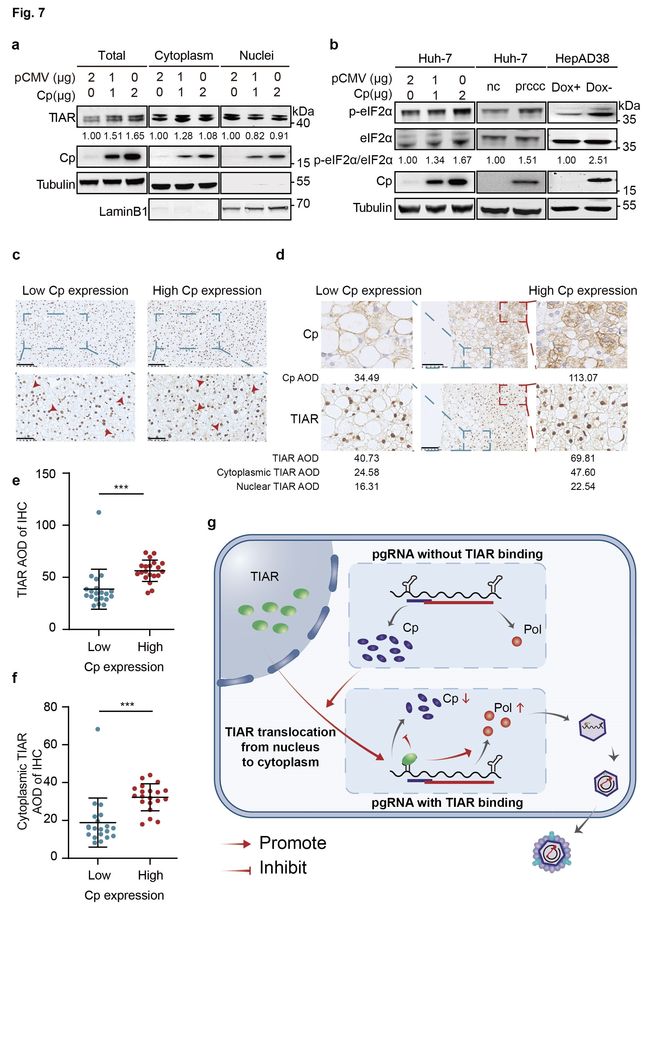 亚游集团·ag8(中国)官网-只為非同凡享