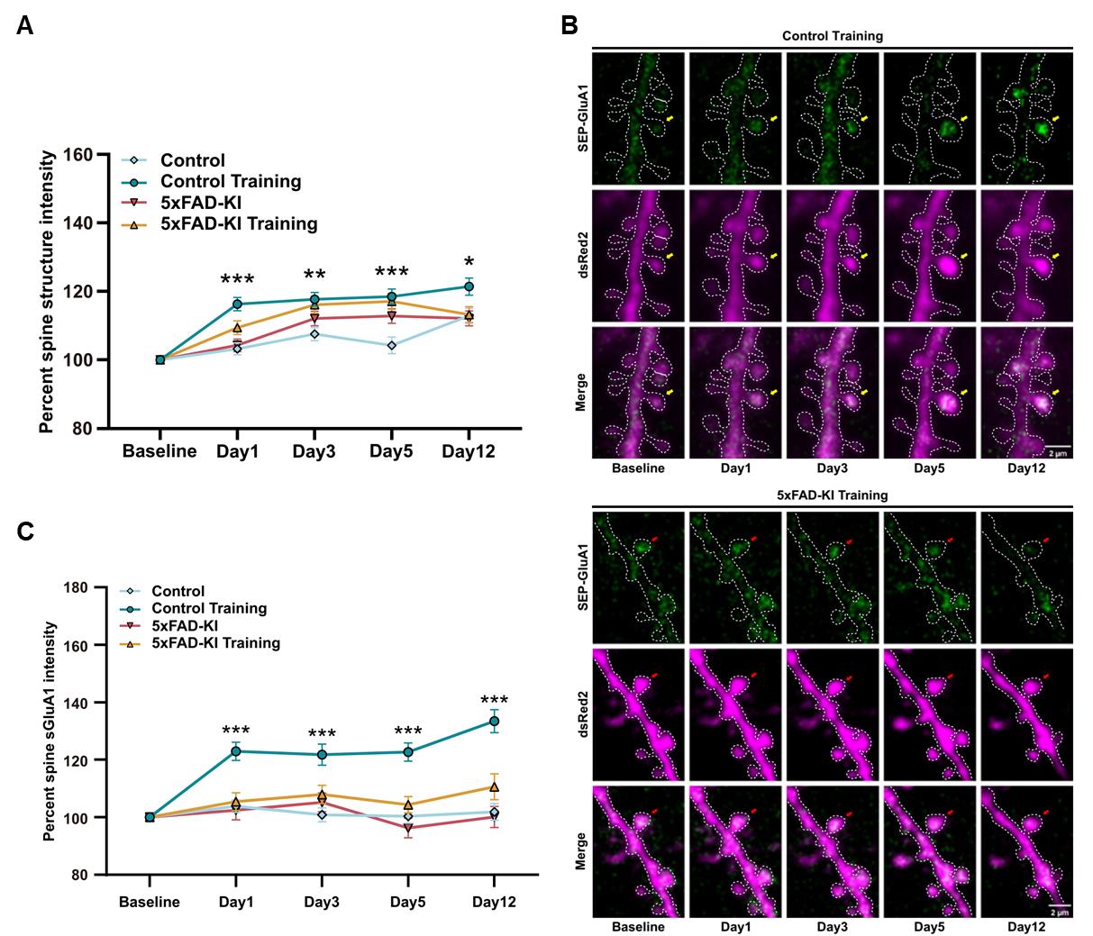 亚游集团·ag8(中国)官网-只為非同凡享