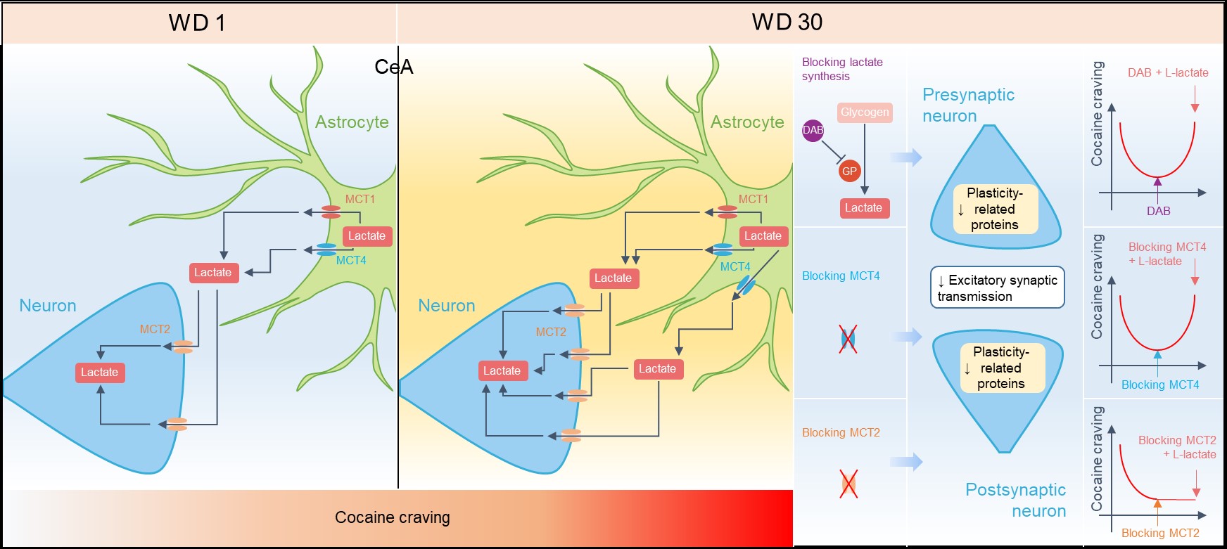 亚游集团·ag8(中国)官网-只為非同凡享