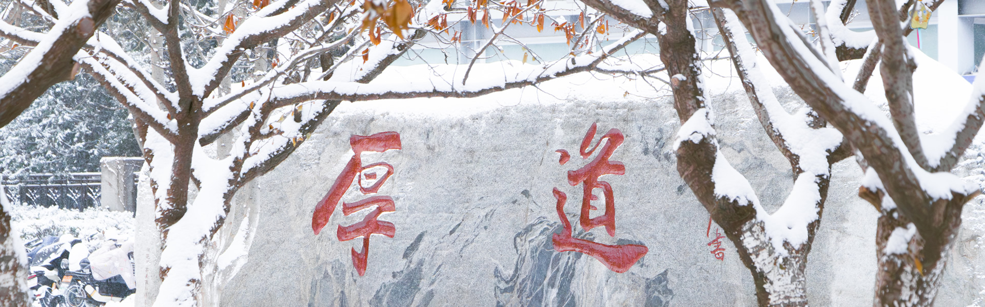 亚游集团·ag8(中国)官网-只為非同凡享