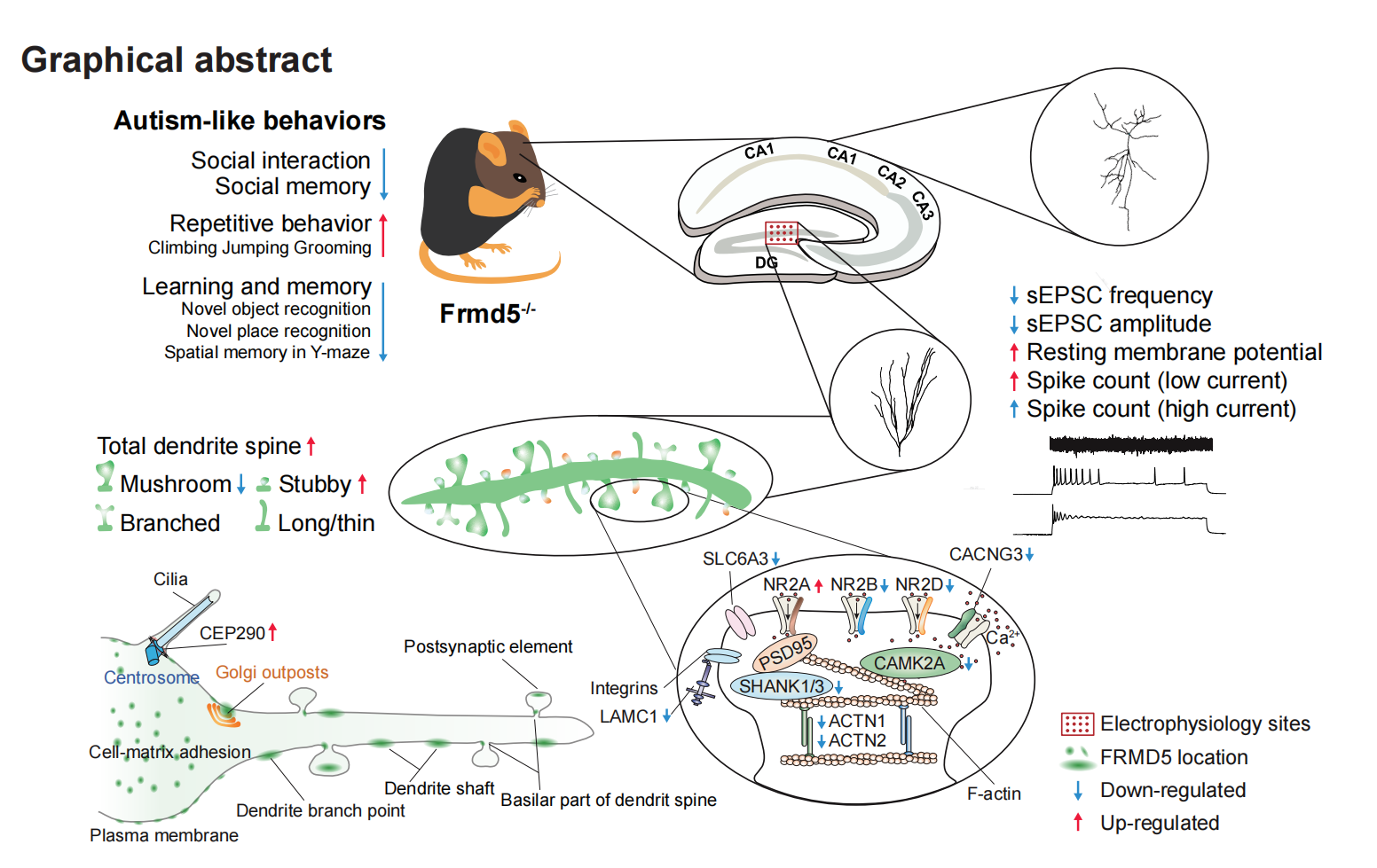 亚游集团·ag8(中国)官网-只為非同凡享