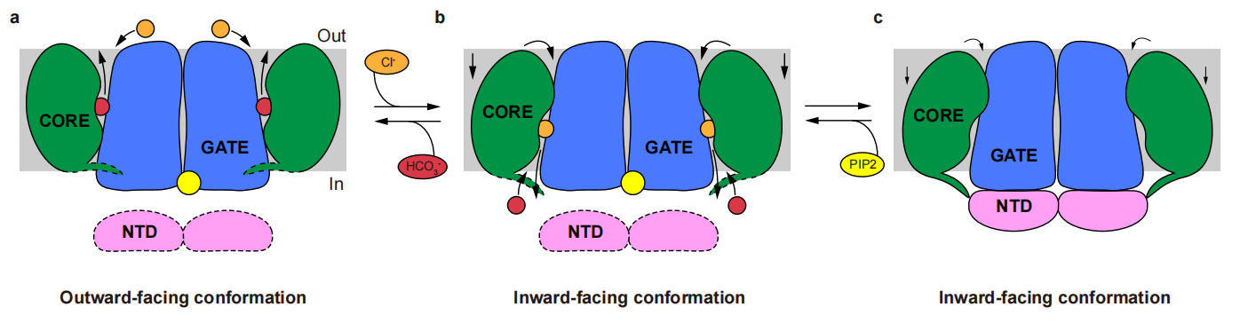 亚游集团·ag8(中国)官网-只為非同凡享