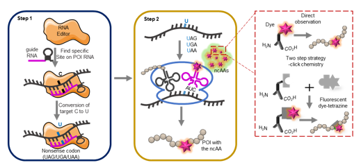 亚游集团·ag8(中国)官网-只為非同凡享