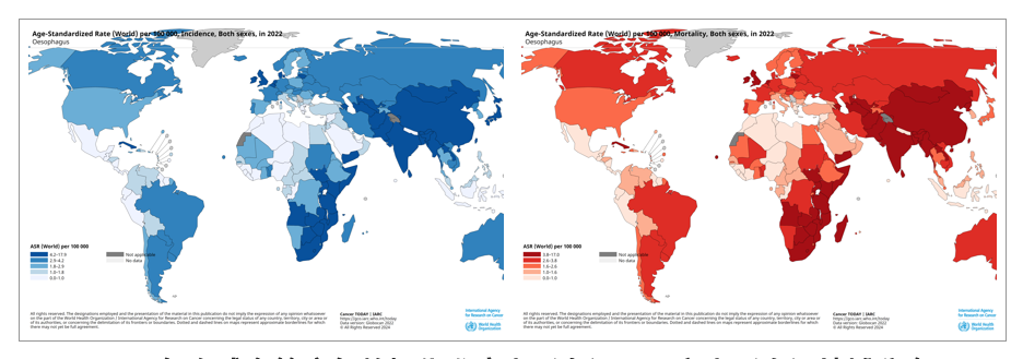 亚游集团·ag8(中国)官网-只為非同凡享