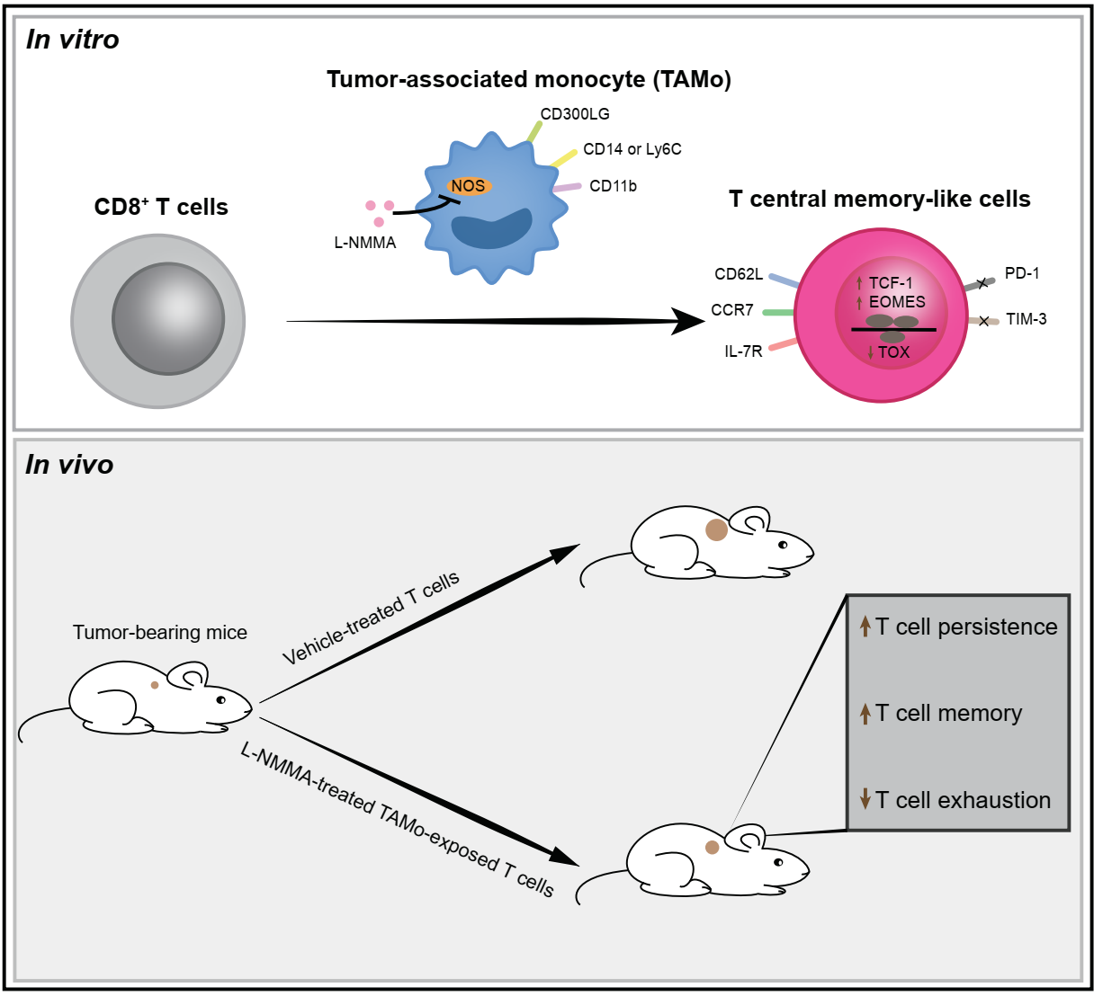 亚游集团·ag8(中国)官网-只為非同凡享