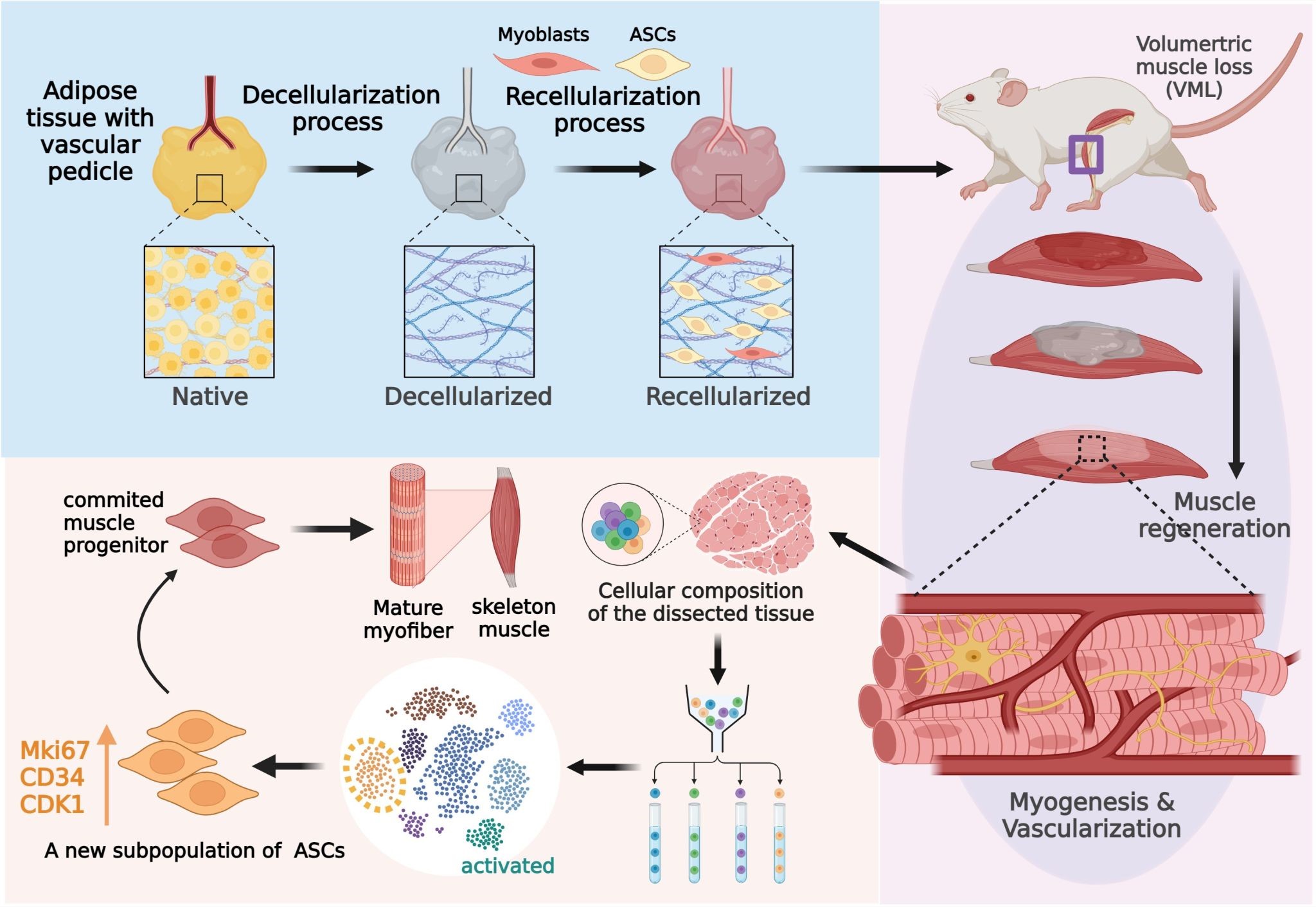 亚游集团·ag8(中国)官网-只為非同凡享