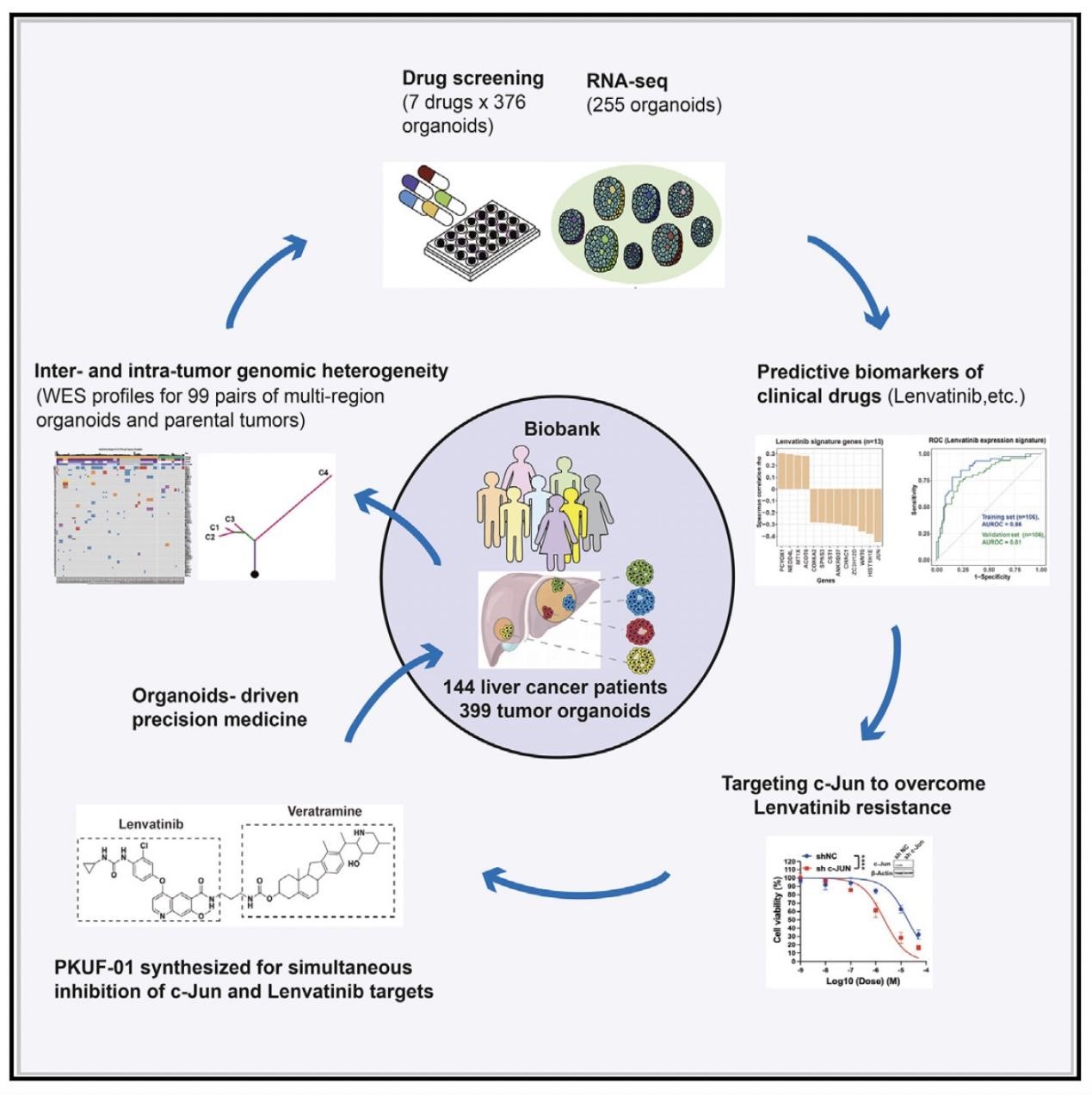 亚游集团·ag8(中国)官网-只為非同凡享