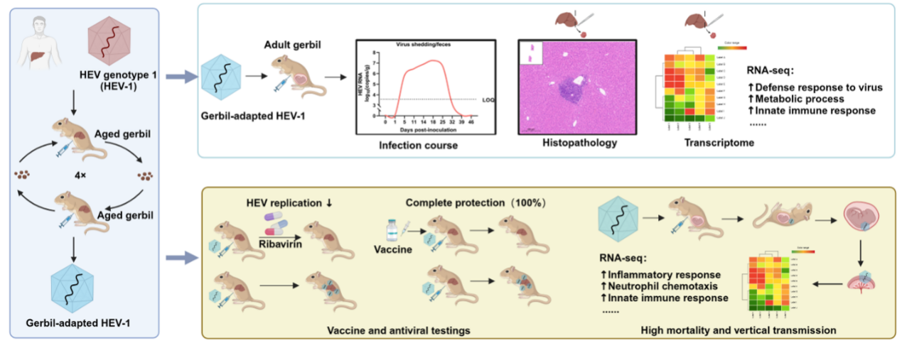 亚游集团·ag8(中国)官网-只為非同凡享