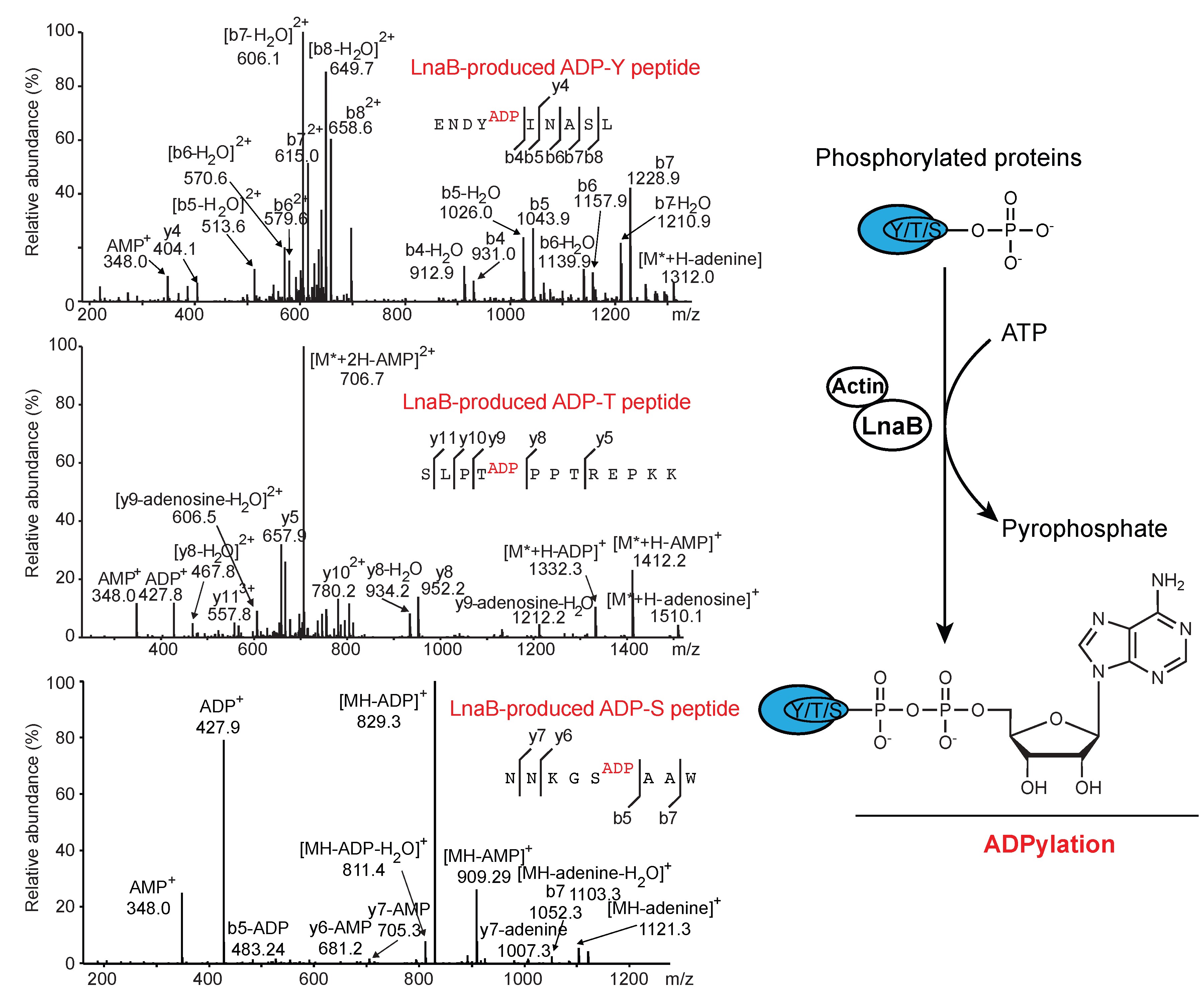 亚游集团·ag8(中国)官网-只為非同凡享