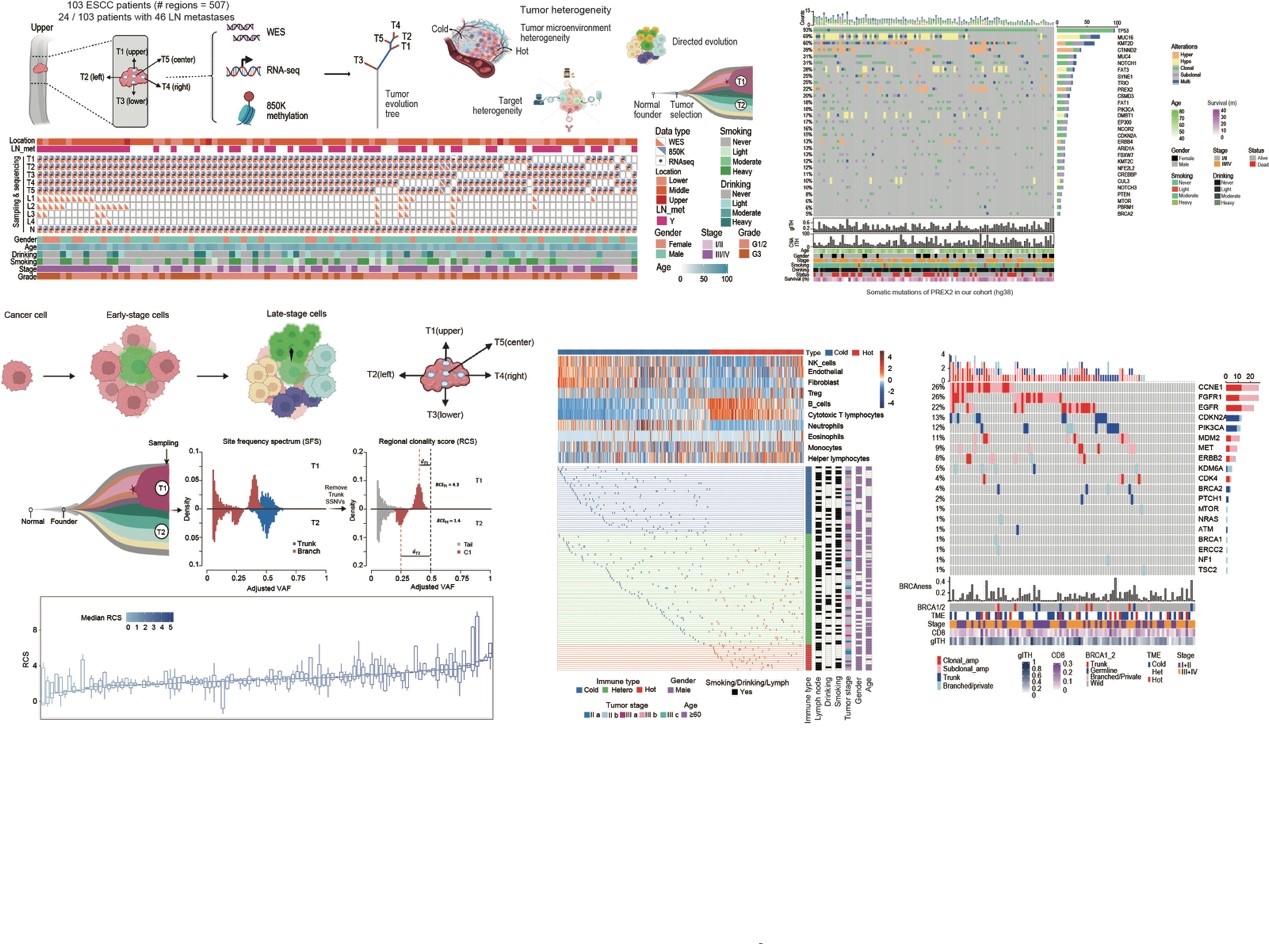 亚游集团·ag8(中国)官网-只為非同凡享