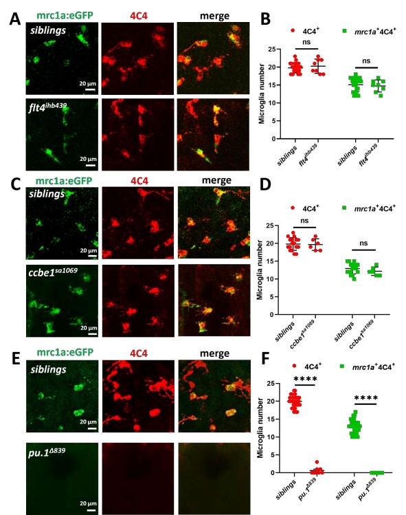 亚游集团·ag8(中国)官网-只為非同凡享