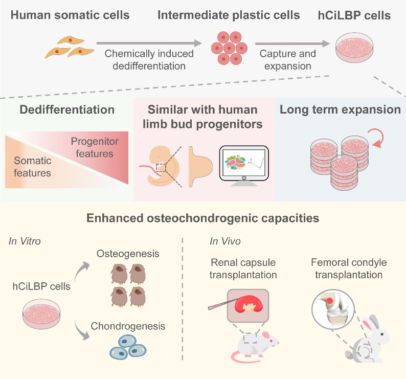 亚游集团·ag8(中国)官网-只為非同凡享