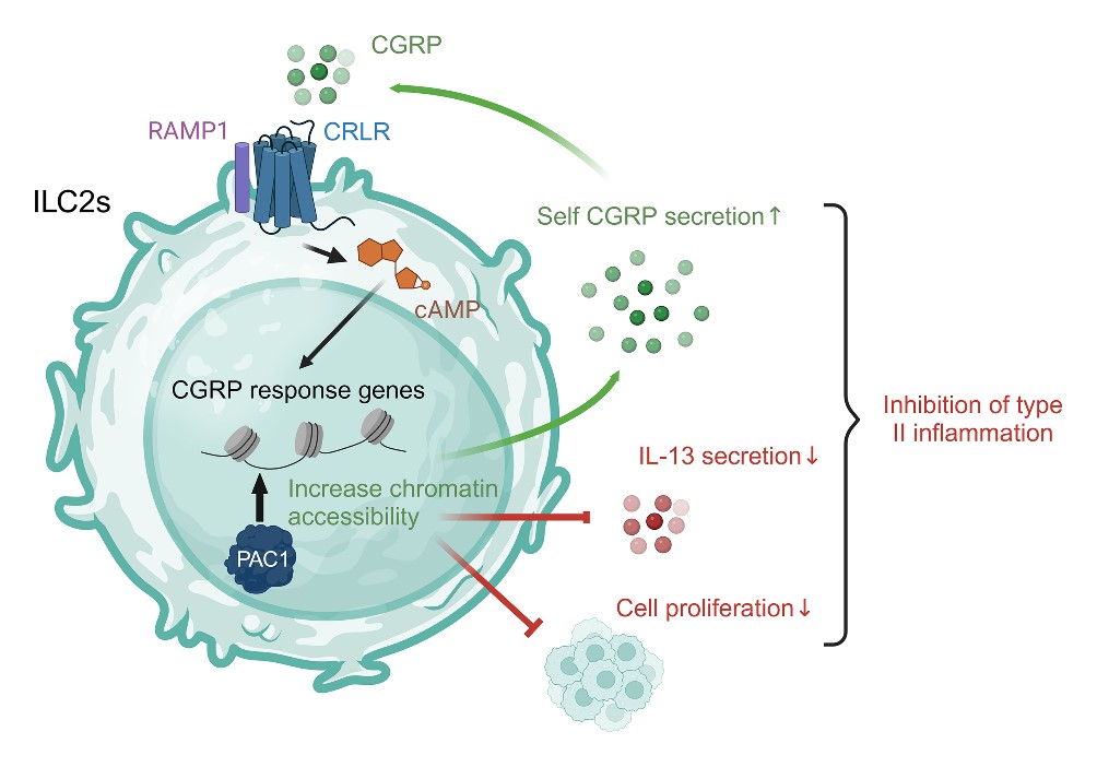 亚游集团·ag8(中国)官网-只為非同凡享