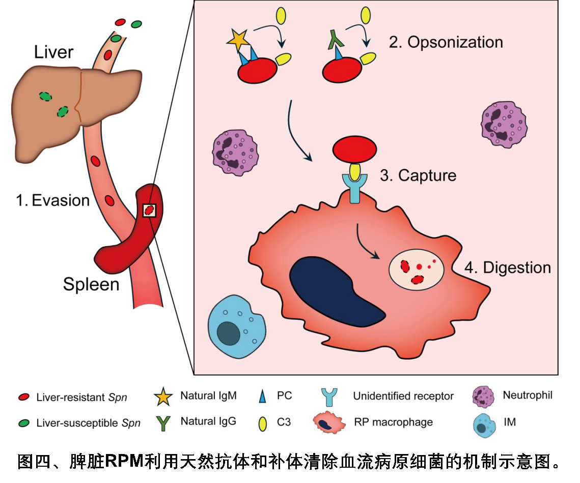 亚游集团·ag8(中国)官网-只為非同凡享