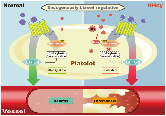 亚游集团·ag8(中国)官网-只為非同凡享