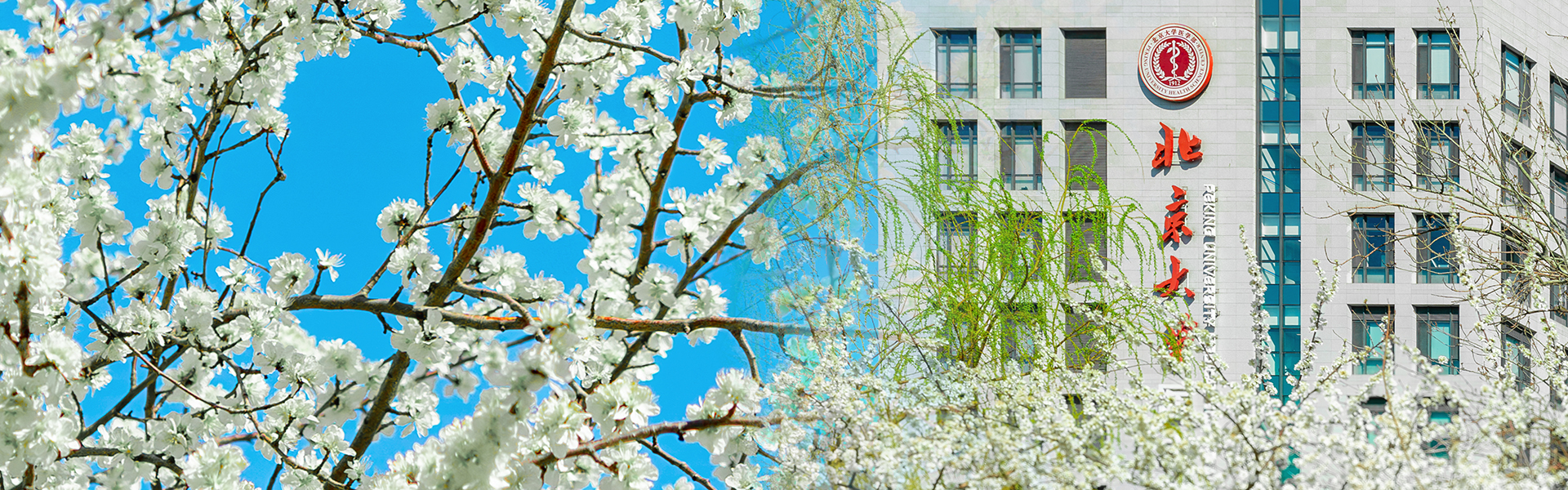 亚游集团·ag8(中国)官网-只為非同凡享