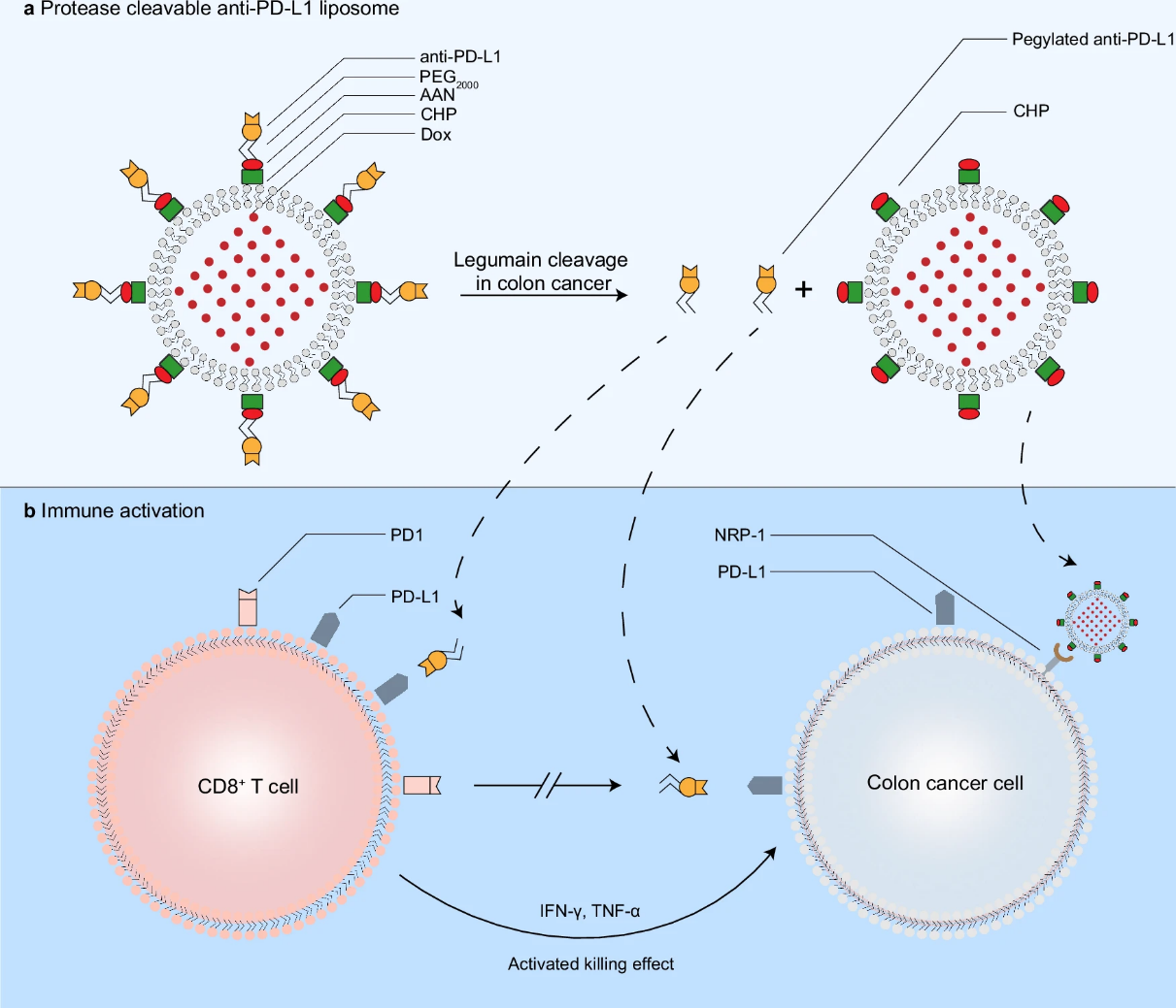亚游集团·ag8(中国)官网-只為非同凡享