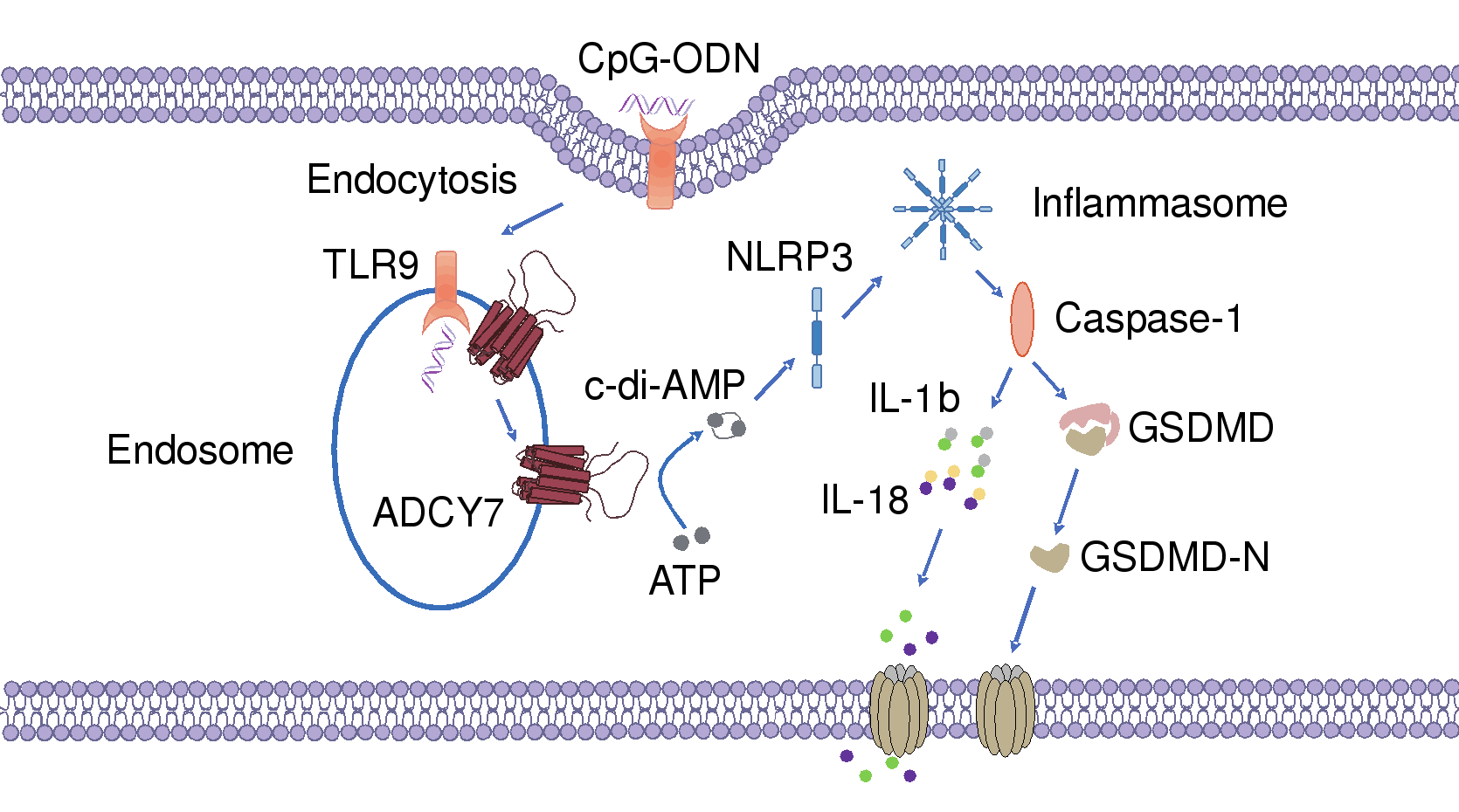 亚游集团·ag8(中国)官网-只為非同凡享